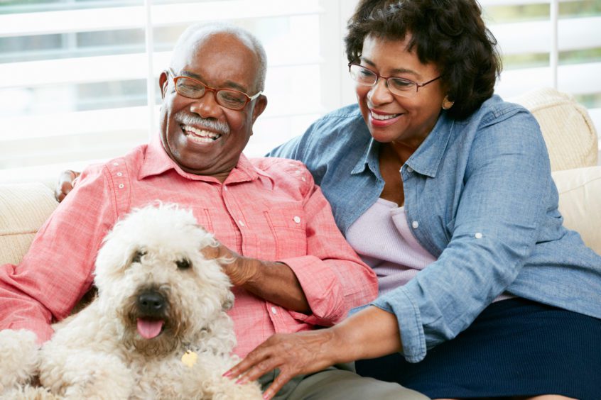 Happy Senior Couple Sitting On Sofa With Dog